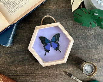 Papercut Purple Butterfly | Entomology Art | Paper sculpture | Framed Art | Paper Cut Insect | Entomology Without Death | Artificial Insect