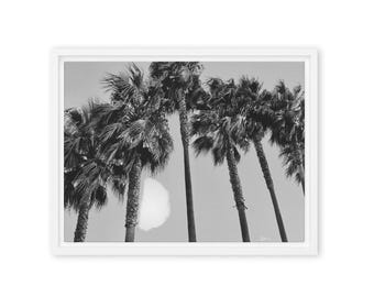 Moonlit Palms Cinematic B&W Photography Print - Framed Canvas Wall Art (16”Wx12”H)