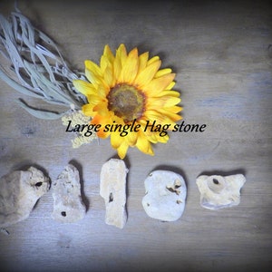 LARGE Natural hag stone, adder stone, odin stone. genuine hag stone. One of five to choose from Magic holey stone, beach stone shaman stone.