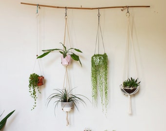 Single or Double Flexible Adjustable Fits All - Modern Hanging Planter