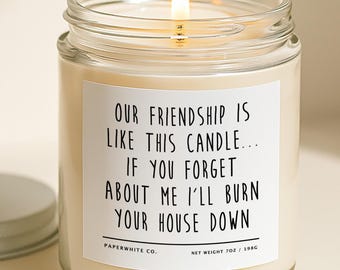 Funny Friend Gift Our Friendship Is Like This Candle, Sarcastic Friendship Candle, Best Friend Present H1