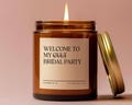 Personalized Bridesmaid Gifts, Bridesmaid Proposal Gifts, Funny Bridal Party Candles, Bulk Bridesmaid Proposal Gift Ideas Bachelorette AW94