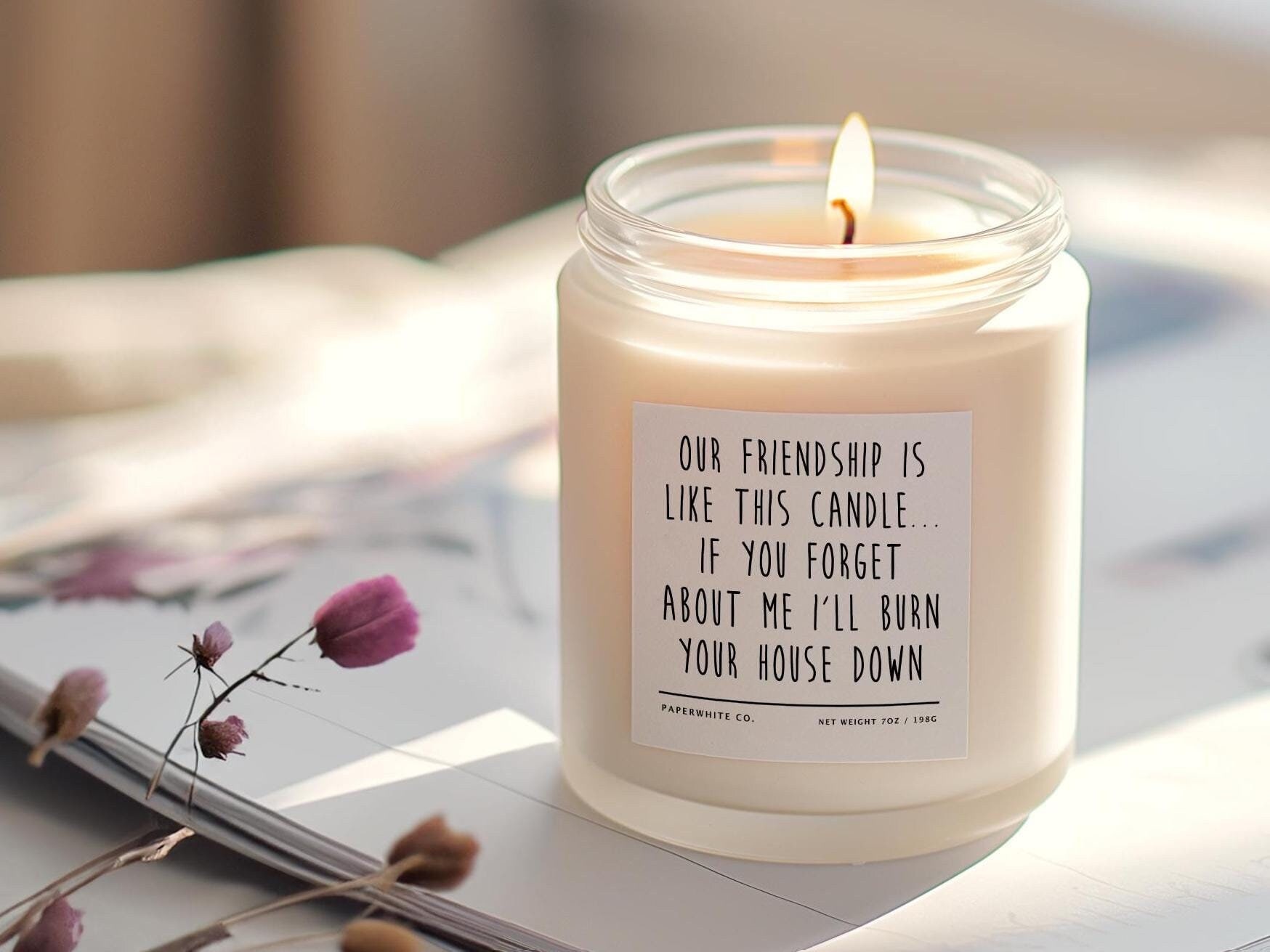 Best Friend Gift Funny Candle Gift For Friend Birthday Gag Gift Housewarming, Moving Leaving Long Distance Friendship is Like This Candle H1