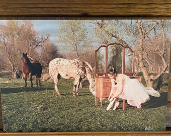 Canvas 16x24 print original photography titled “Bring on the Dancing Horses “