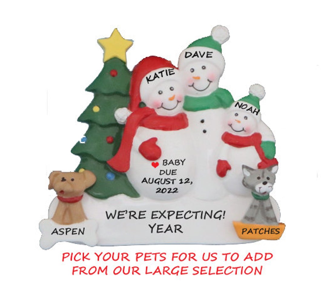 Personalized Expecting Family of 3 With 2 Dogs or Cats Christmas ...