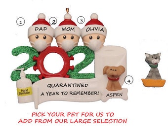 Personalized 2020 Dated Ornament Family 3 Quarantine The Year We Stayed Home With Dog or Cat Added - 2020 Year to Remember 3 People Ornament