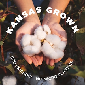 Puede incluir: Primer plano de manos sosteniendo copas de algodón blanco y esponjoso. El texto "KANSAS GROWN" está arriba, con "ECO FRIENDLY - NO MICRO PLASTICS" debajo. El fondo muestra plantas de algodón verdes.