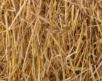 100 Percent Natural Wheat Straw 4lbs, 8lbs, or 12lbs