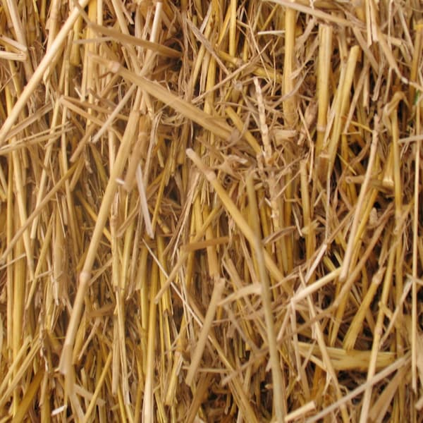 100 Percent Natural Wheat Straw 4lbs, 8lbs, or 12lbs