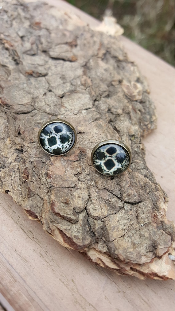 Snakeskin Pattern Bronze Post Earrings