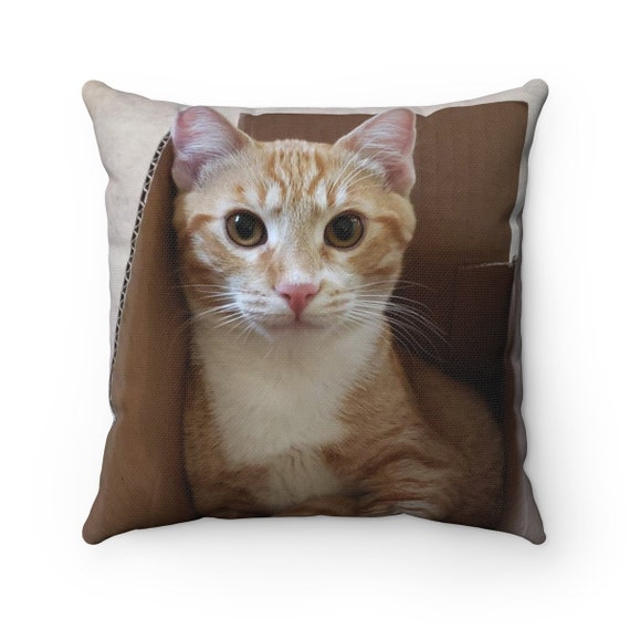 Cat in a Box - Spun Polyester Square Pillow