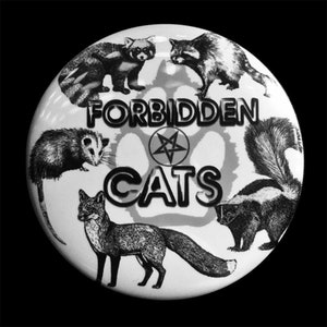 May include: A black and white button with a pentagram and the words "Forbidden Cats" in a bold font. The button features images of a raccoon, red panda, opossum, fox, and skunk.