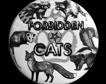 Forbidden Cats Button, Magnet, or Keychain