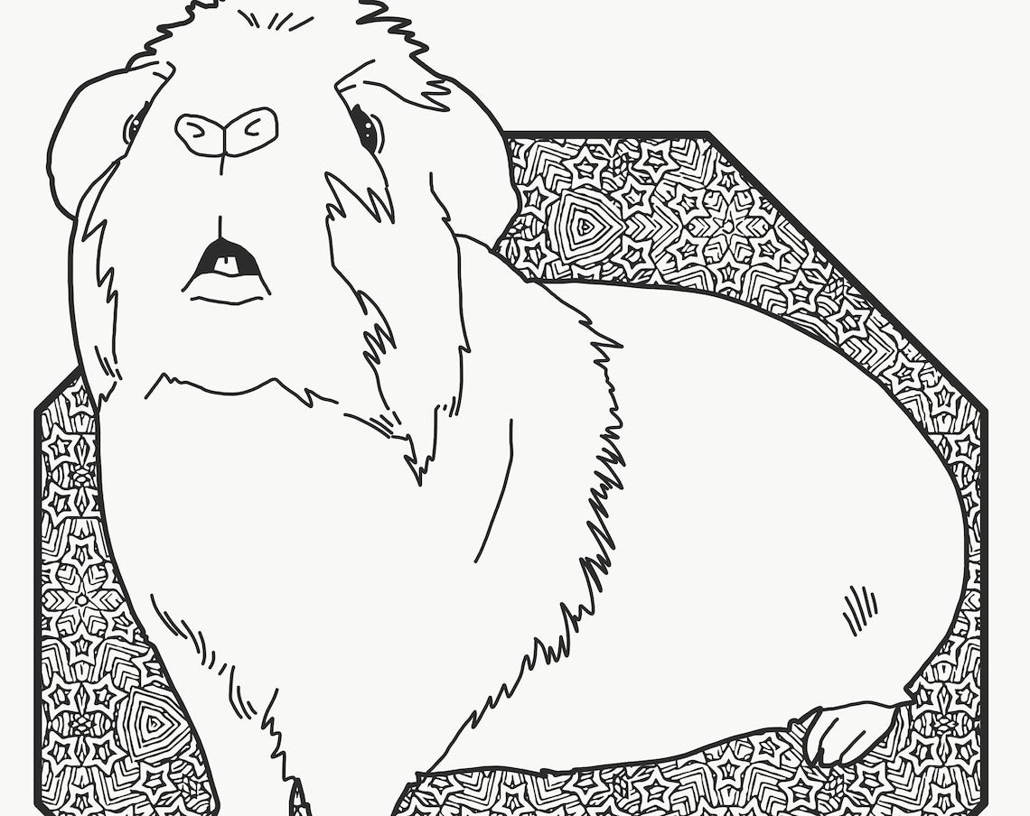 Guinea Pig Pages Printable Free Coloring Pages