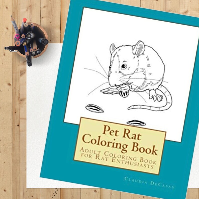 Download Pet Rat Coloring Book Etsy