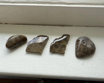 Petoskey pieces! Set of 4