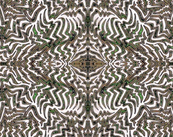 The Space In Between What It Is Like To Be a Bat in the Rainforest V#4