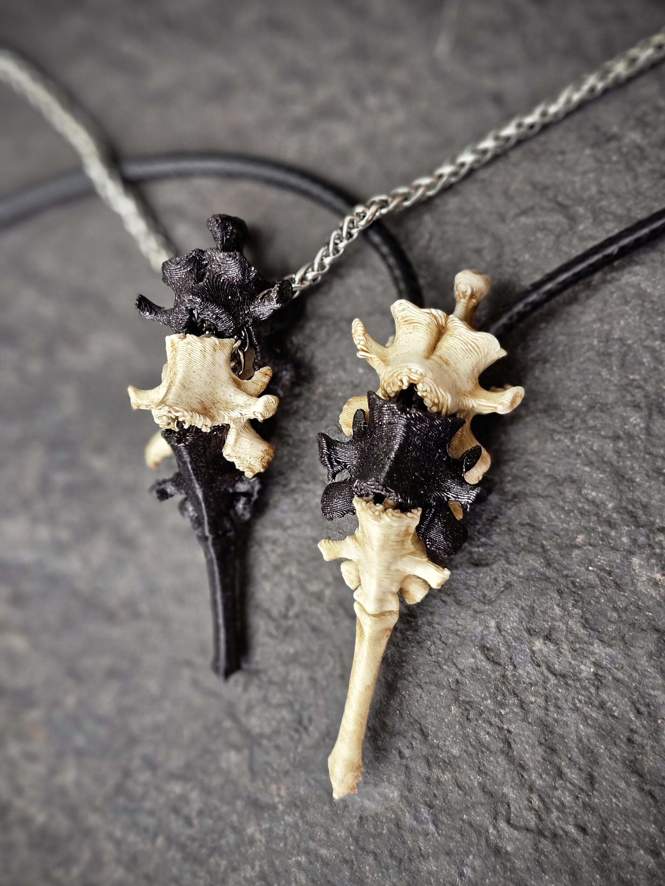 Vertebrae Spinal Pendant | Modular Skeleton Bone Cord Necklace | 3