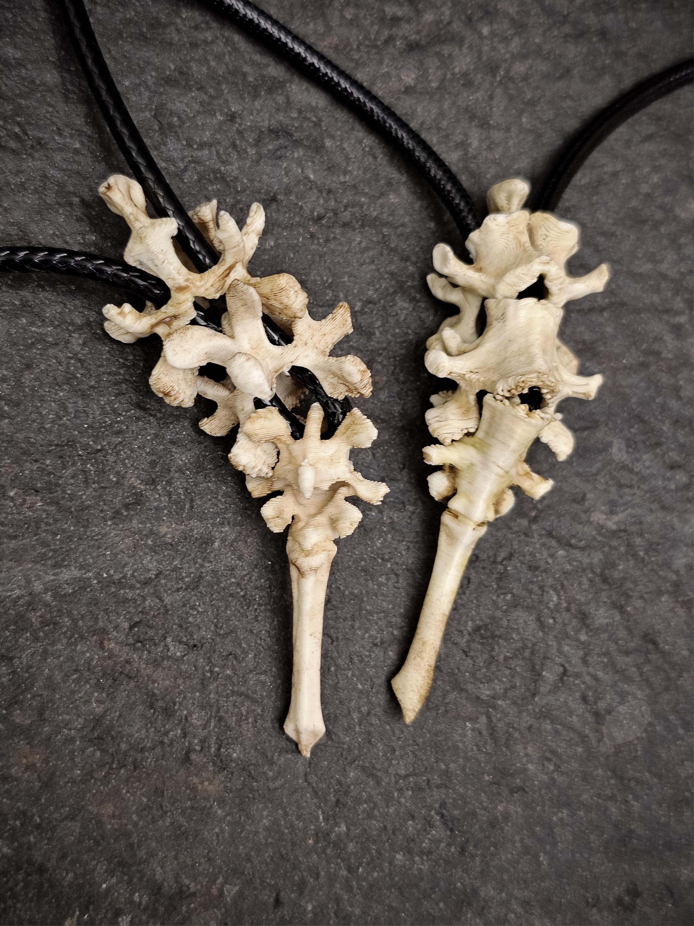 Vertebrae Spinal Pendant | Modular Skeleton Bone Cord Necklace | 3