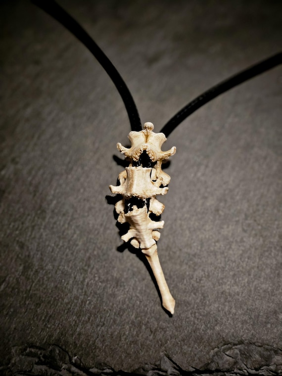 Vertebrae Spinal Pendant | Modular Skeleton Bone Cord Necklace | 3