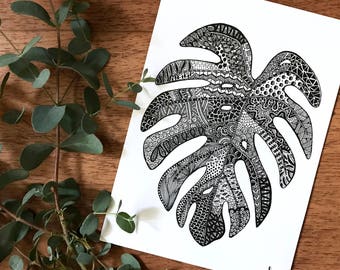 Plant Series: Monstera Leaf