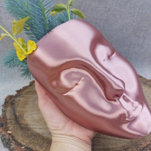 Face Planter, Head Wall Hanging Pot, Wall Art image 7