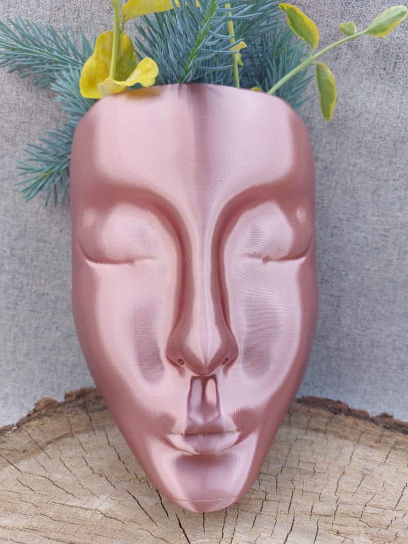 Face Planter, Head Wall Hanging Pot, Wall Art Rose gold