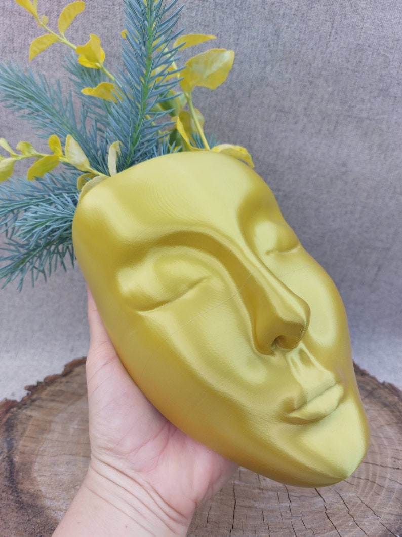 Face Planter, Head Wall Hanging Pot, Wall Art image 6