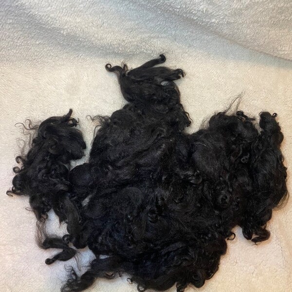 1oz Karakul true black washed locks ”Wessie” shave em to save em eligible