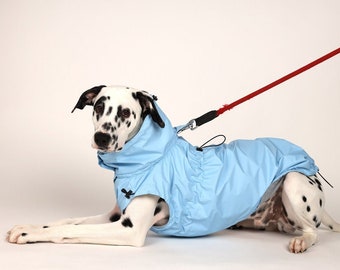 Best Dog Raincoat - Etsy Singapore