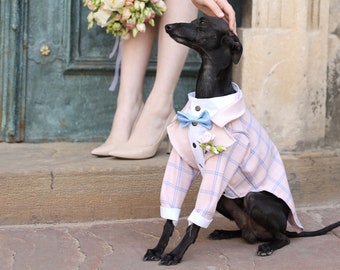 Pink Tartan Dog Tuxedo - Wedding - Black Tie - Dog Wedding - Bow Tie -  Flower Boutonniere -  Dress Code - Dog outfit - Dog BirthdayBark&Go