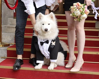 Esmoquin de perro negro clásico con chorreras - Boda de perro - Corbata de lazo de perro - Boutonniere de flores - Código de vestido de boda - Bark&Go - Traje de boda de perro