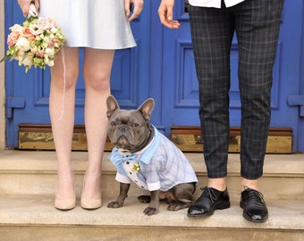 Blue Tartan Dog Tuxedo - Wedding - Black Tie - Dog Wedding - Bow Tie -  Flower Boutonniere -  Dress Code - Dog outfit - Dog BirthdayBark&Go