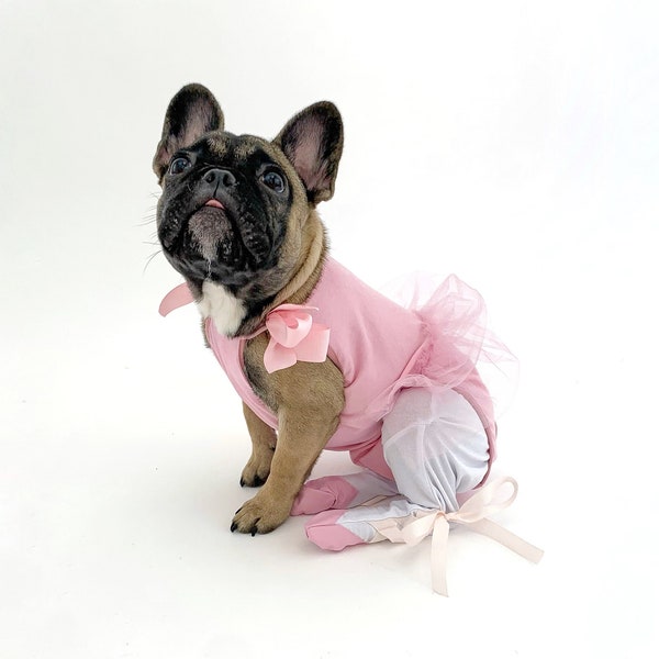 Ballerina Dog Costume - Halloween costume - Dog Dress - Halloween tutu - Any Size - Dog Clothing - Pet Clothes - Custom dog clothes- Bark&Go