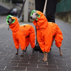 Dog raincoats for large dogs store