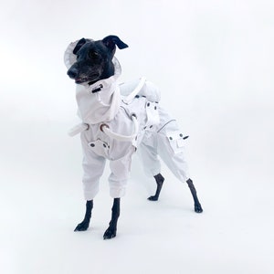 Hondenkostuum astronaut: Halloween-outfit ruimtevaarder, custom-fit