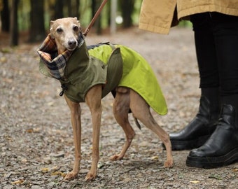 E40 Olive Dog Raincoat Dark Academia for Italian Greyhound, Fleece lining, Ready to ship, Waterproof Dog Coat, Dog Clothes Bark&Go