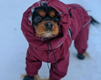 small dog snowsuit with attached boots