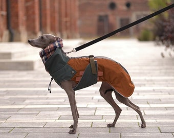 E40 Brown Dog Raincoat Dark Academia for Italian Greyhound, Fleece lining, Ready to ship, Waterproof Dog Coat, Dog Clothes Bark&Go