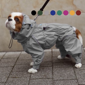 Cavalier King Charles Spaniel Raincoat Etsy Canada