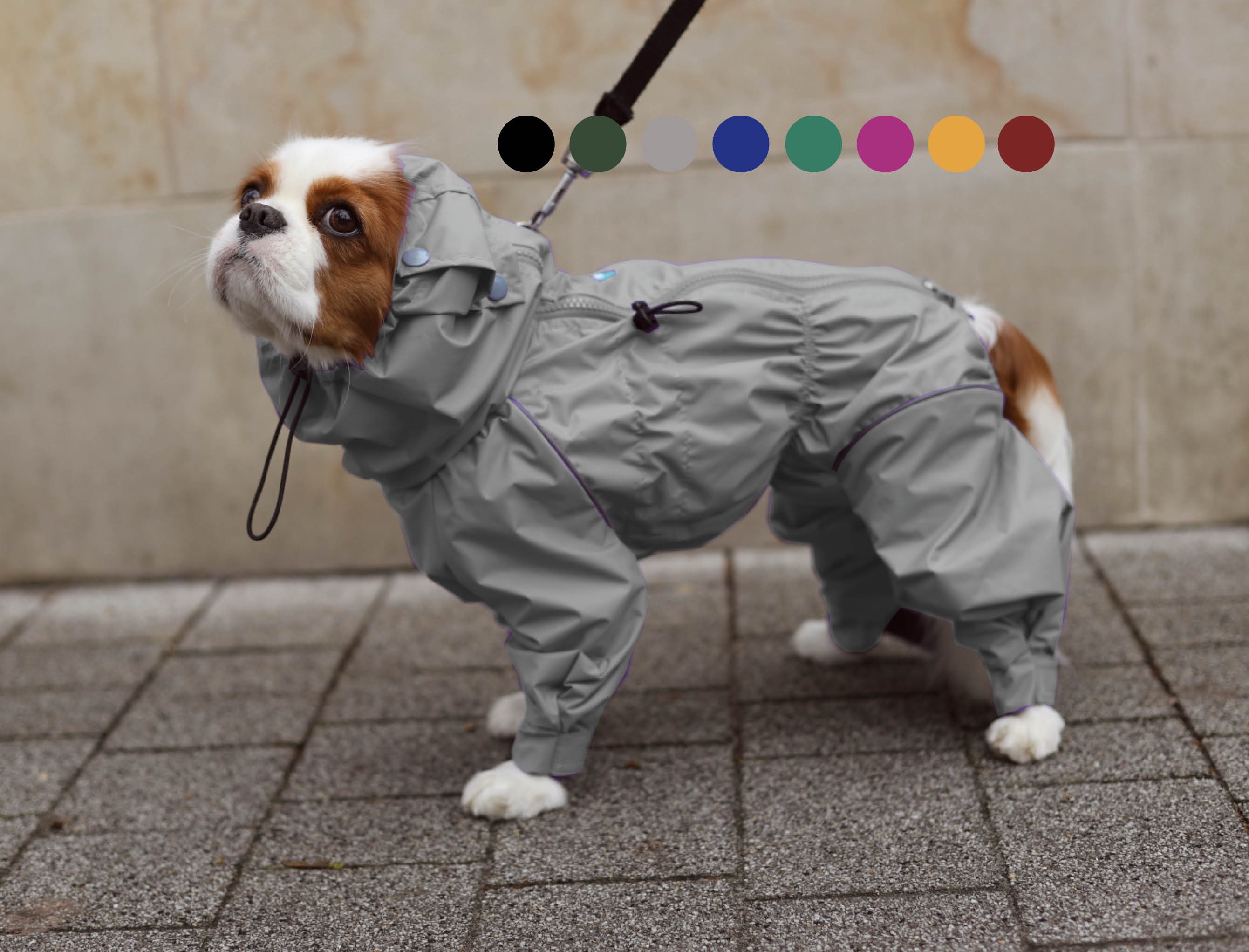 Full dog raincoat best sale