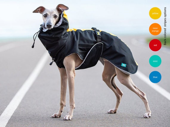 Hound Waterproof Dog Raincoat FLEECE or MESH Lining Greyhound