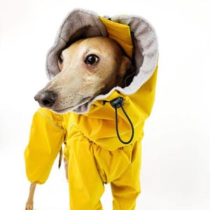 Greyhound Waterproof Coat | Whippet Coat Waterproof | Italian Greyhound Coat |Fleece Coat | gift for dogs | Coat for Iggy