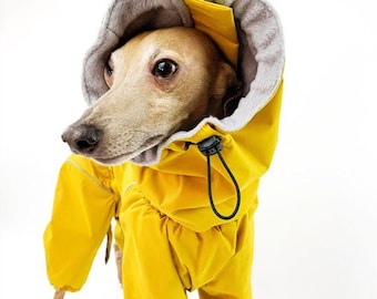 Waterproof Dog Raincoat for Italian Greyhound (Levrette), Sighthound: Whippet, Greyhound "Monocolor"