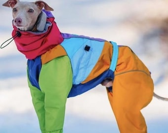 Waterproof Dog Raincoat for Italian Greyhound (Levrette)  Retro Style - 90-s