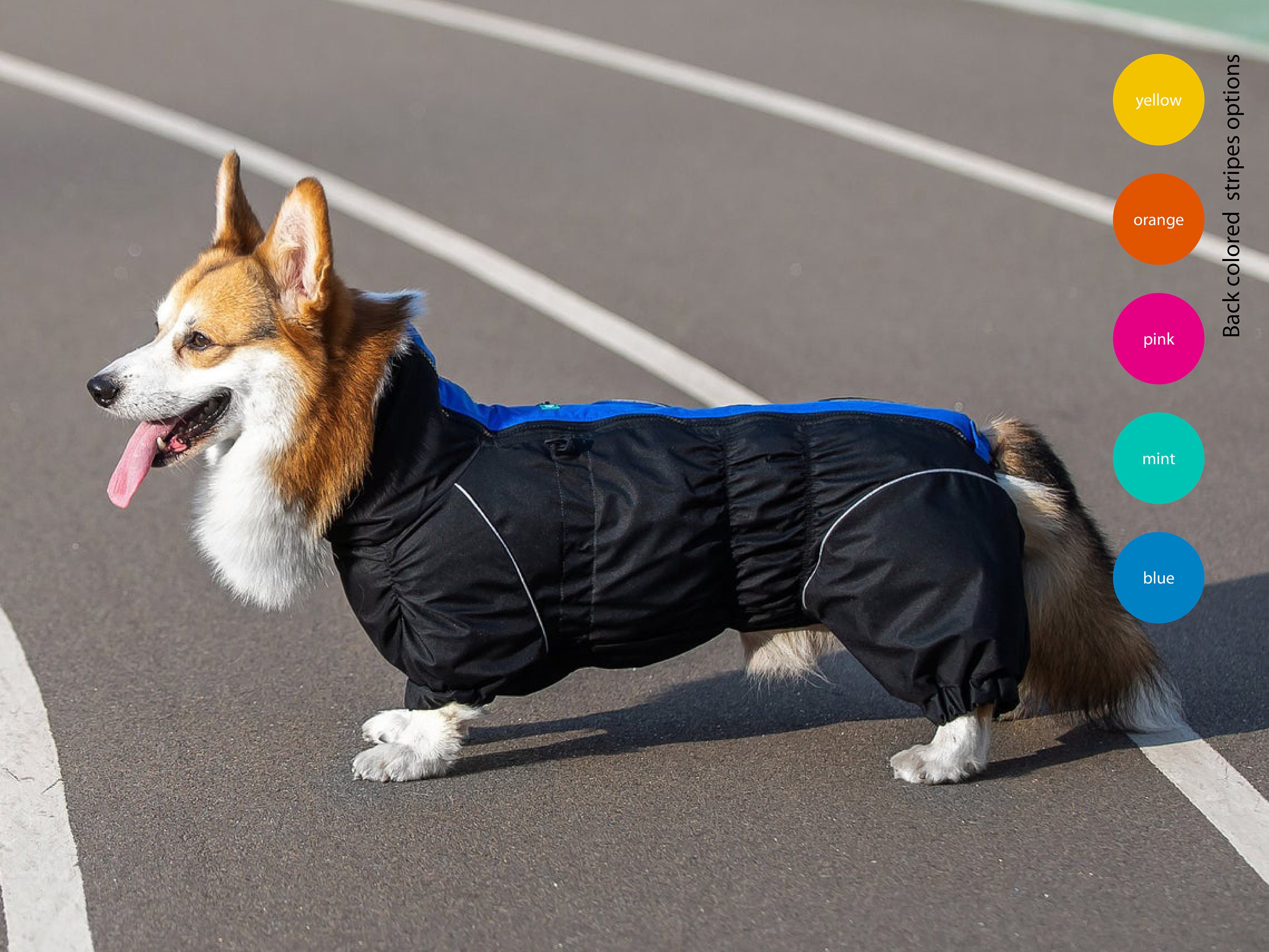 Dachshund / Waterproof Dog Raincoat Full Body Raincoat Etsy