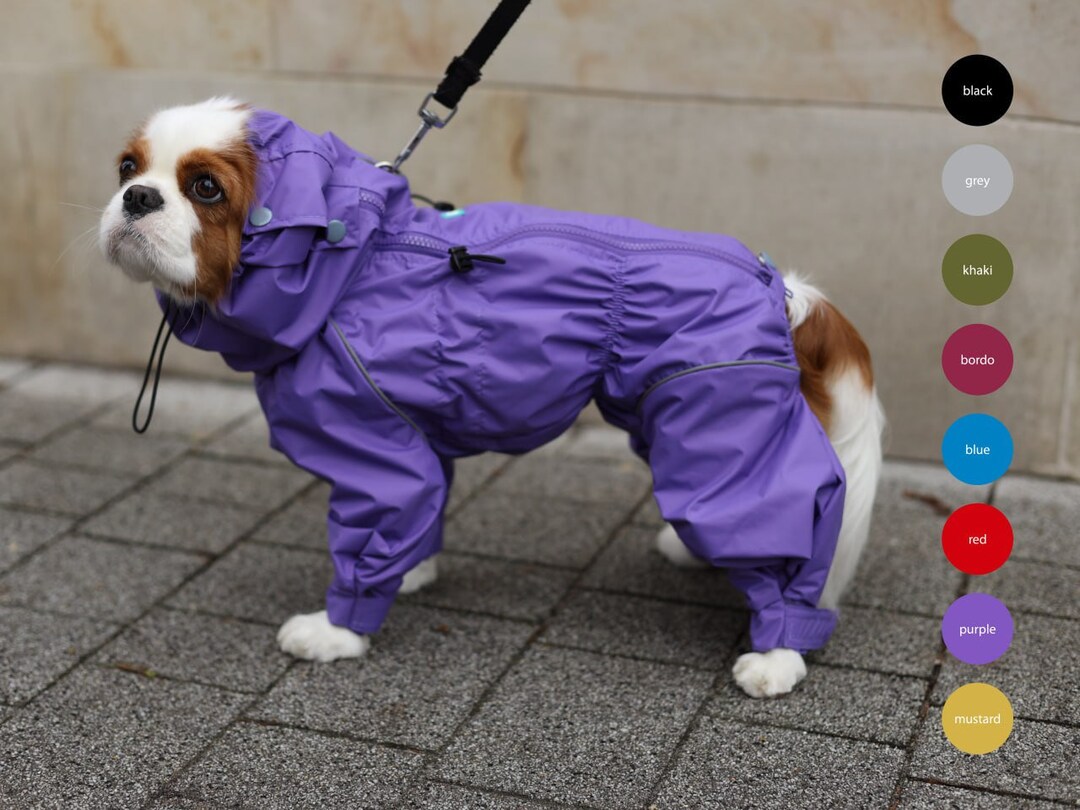 Loose Fit Spaniel Waterproof Dog Raincoat With the Adjustable Etsy