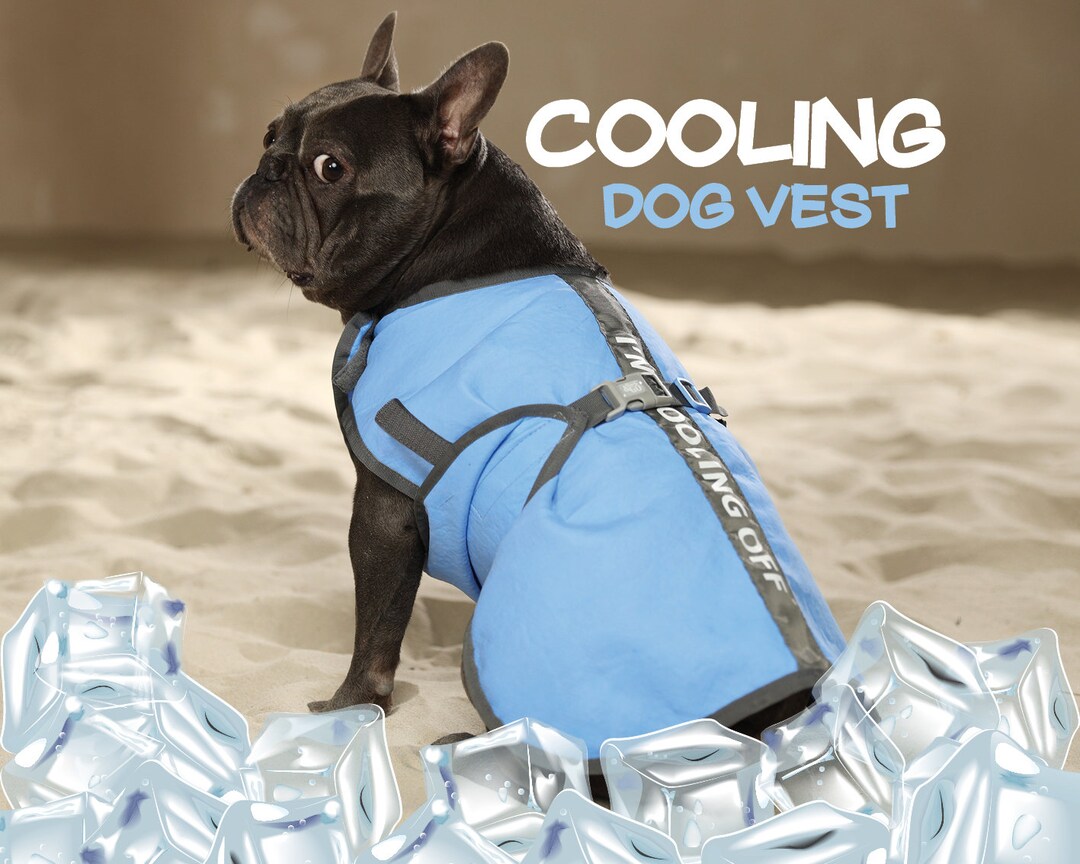 Dog Cooling Coat Dog Cool Vest Summer Dog Coat Etsy Hong Kong