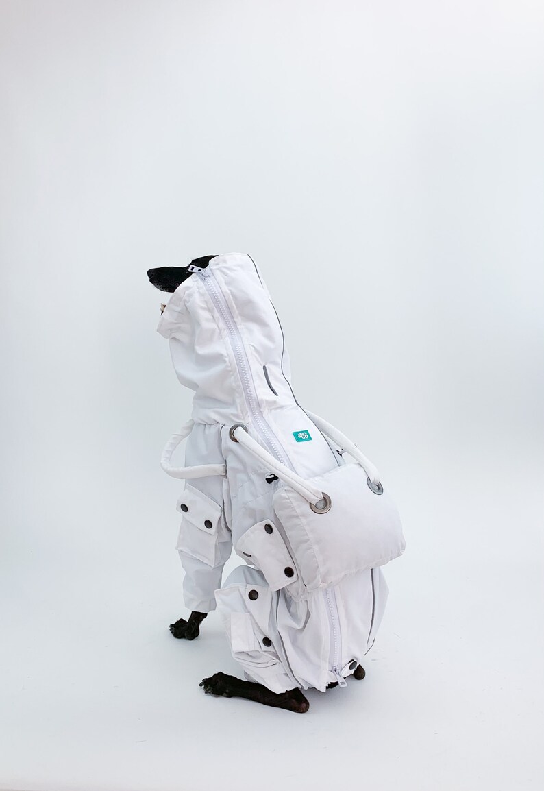 Astronaut Dog Costume Spaceman Halloween Costume Body Suit - Etsy