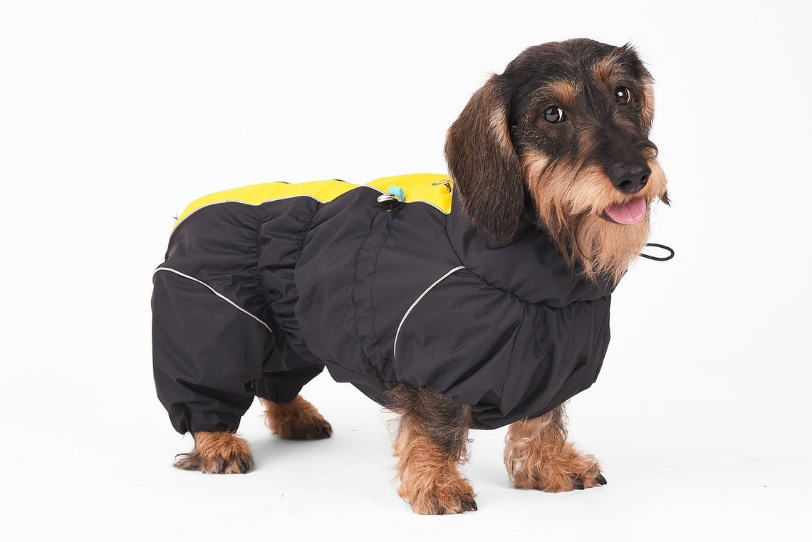 Dachshund / Corgi Waterproof Dog Raincoat Full Body Raincoat | Etsy